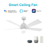 ASCENDER 52 inch 5 - Blade Smart Ceiling Fan with LED Light & Remote - LEDMyPlace