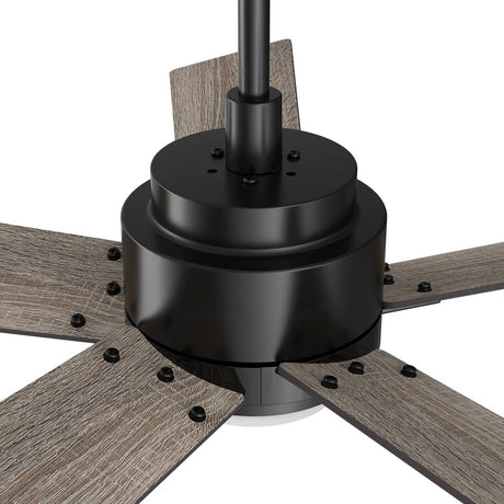 ASCENDER 60 inch 5 - Blade Smart Ceiling Fan with LED Light & Remote - LEDMyPlace
