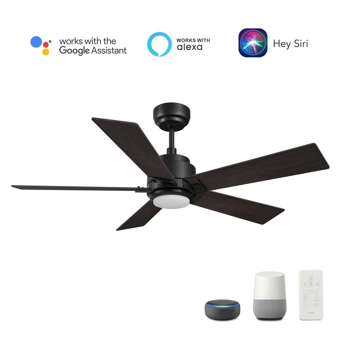 ASCENDER 60 inch 5 - Blade Smart Ceiling Fan with LED Light & Remote - LEDMyPlace