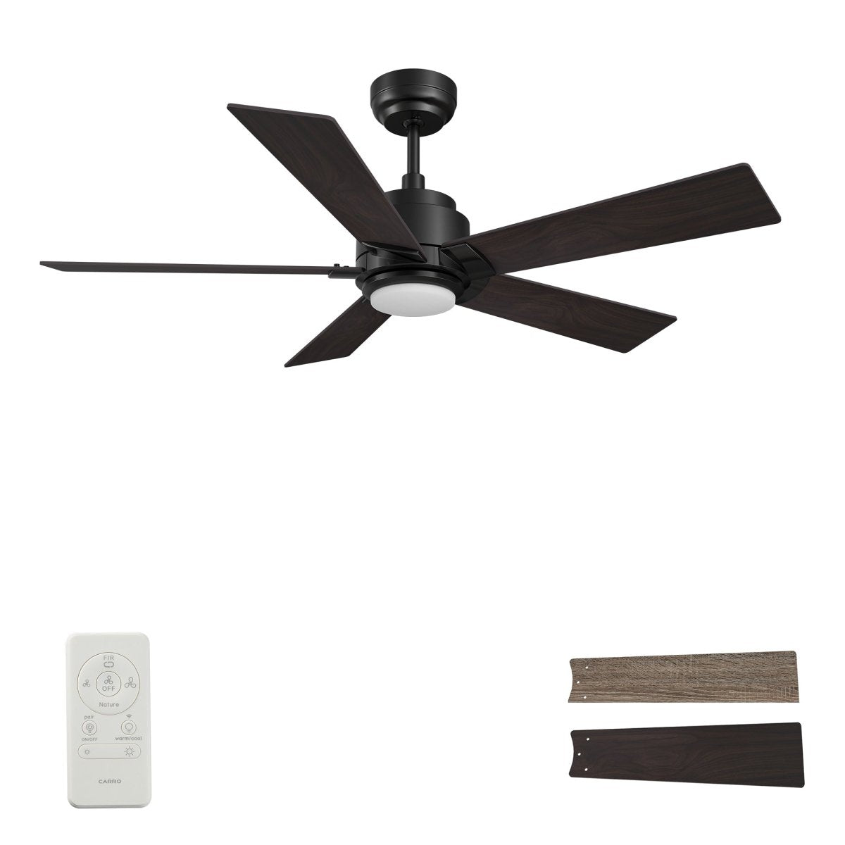 ASCENDER 60 inch 5 - Blade Smart Ceiling Fan with LED Light & Remote - LEDMyPlace