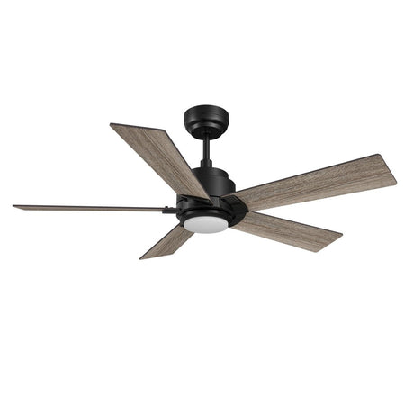 ASCENDER 60 inch 5 - Blade Smart Ceiling Fan with LED Light & Remote - LEDMyPlace