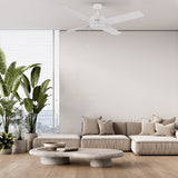 ASCOTT 52 inch 4 - Blade No Light Ceiling Fan with Pull Chain - LEDMyPlace