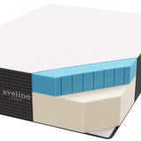 Aveline 16" Memory Foam Full Mattress - BUILDMYPLACE
