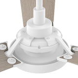 BRISA 52 inch 3 - Blade Smart Ceiling Fan with LED Light & Remote - LEDMyPlace
