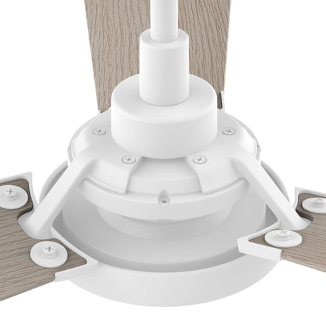 BRISA 52 inch 3 - Blade Smart Ceiling Fan with LED Light & Remote - LEDMyPlace