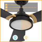 BRISA 52 inch 3 - Blade Smart Ceiling Fan with LED Light & Remote - LEDMyPlace