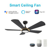 BRISA 52 inch 5 - Blade Smart Ceiling Fan with LED Light & Remote - LEDMyPlace