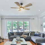 BRISA 52 inch 5 - Blade Smart Ceiling Fan with LED Light & Remote - LEDMyPlace