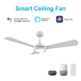 BRISA 56 inch 3 - Blade Smart Ceiling Fan with LED Light & Remote - LEDMyPlace