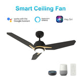 CALEN 48 inch 3 - Blade Smart Ceiling Fan with LED Light & Remote - LEDMyPlace