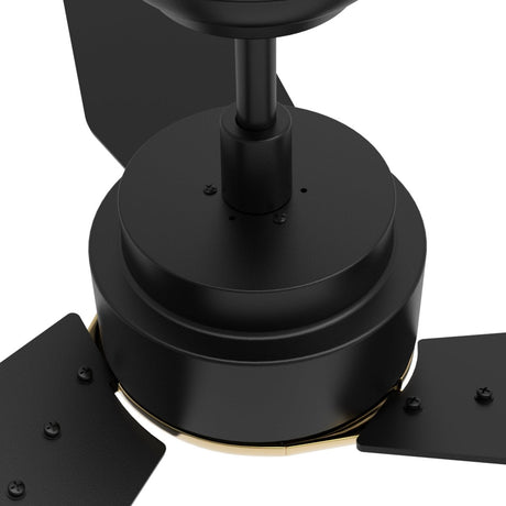 CALEN 48 inch 3 - Blade Smart Ceiling Fan with LED Light & Remote - LEDMyPlace