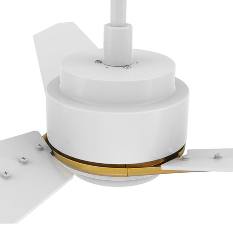 CALEN 48 inch 3 - Blade Smart Ceiling Fan with LED Light & Remote - LEDMyPlace