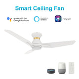 CALEN 52 inch 3 - Blade Flush Mount Smart Ceiling Fan with LED Light & Remote - LEDMyPlace
