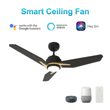 CALEN 52 inch 3 - Blade Smart Ceiling Fan with LED Light & Remote - LEDMyPlace