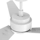 CALEN 56 inch 3 - Blade Smart Ceiling Fan with LED Light & Remote - LEDMyPlace