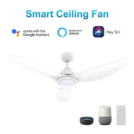 CRANSTON 52 inch 3 - Blade Smart Ceiling Fan with LED Light & Remote - LEDMyPlace