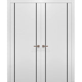 Solid French Double Doors | Planum 0017 White Silk | Wood Solid Panel Frame Trims | Closet Bedroom
