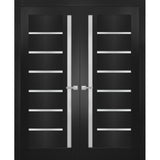 Solid French Double Doors | Quadro 4088 Matte Black with Frosted Glass | Wood Solid Panel Frame Trims | Closet Bedroom Sturdy Doors