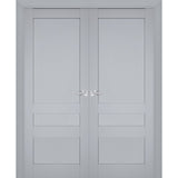 Interior Solid French Double Doors | Veregio 7411 Matte Grey | Wood Solid Panel Frame Trims | Closet Bedroom Sturdy Doors