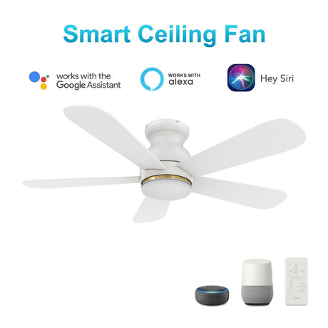 DUBOIS 48 inch 5 - Blade Flush Mount Smart Ceiling Fan with LED Light & Remote - LEDMyPlace