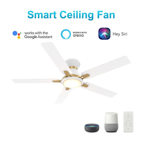 ESPEAR 52 inch Flush Mount 5 - Blade Smart Ceiling Fan with LED Light & Remote - LEDMyPlace