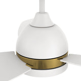 FREMONT 48 inch 3 - Blade Smart Ceiling Fan with LED Light & Remote - LEDMyPlace