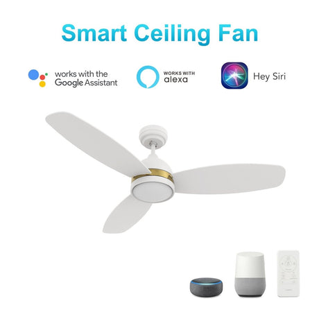 FREMONT 48 inch 3 - Blade Smart Ceiling Fan with LED Light & Remote - LEDMyPlace