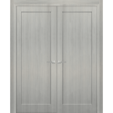 French Double Panel Doors with Hardware | Quadro 4111 Grey Ash | Panel Frame Trims | Bathroom Bedroom Interior Sturdy Door - BUILDMYPLACE