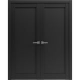 French Double Panel Lite Doors Hardware | Quadro 4111 Matte Black | Panel Frame Trims | Bathroom Bedroom Interior Sturdy Door - BUILDMYPLACE