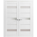 French Double Panel Lite Doors with Hardware | Quadro 4055 White Silk with Frosted Glass | Panel Frame Trims | Bathroom Bedroom Interior Sturdy Door - BUILDMYPLACE
