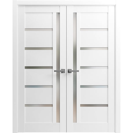 French Double Panel Lite Doors with Hardware | Quadro 4088 White Silk with Frosted Glass | Panel Frame Trims | Bathroom Bedroom Interior Sturdy Door - BUILDMYPLACE