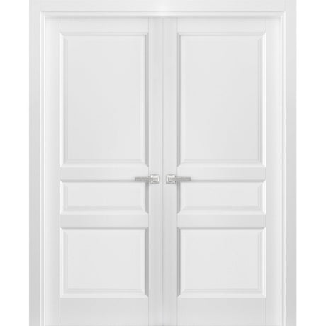French Double Panel Solid Doors with Hardware | Lucia 31 White Silk | Panel Frame Trims | Bathroom Bedroom Interior Sturdy Door - BUILDMYPLACE