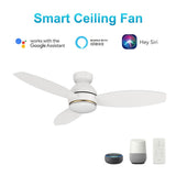 HOBART 48 inch 3 - Blade Flush Mount Smart Ceiling Fan with LED Light & Remote - LEDMyPlace