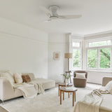 Leon 44 inch 3 - Blade Ceiling Fan with Remote Control - LEDMyPlace