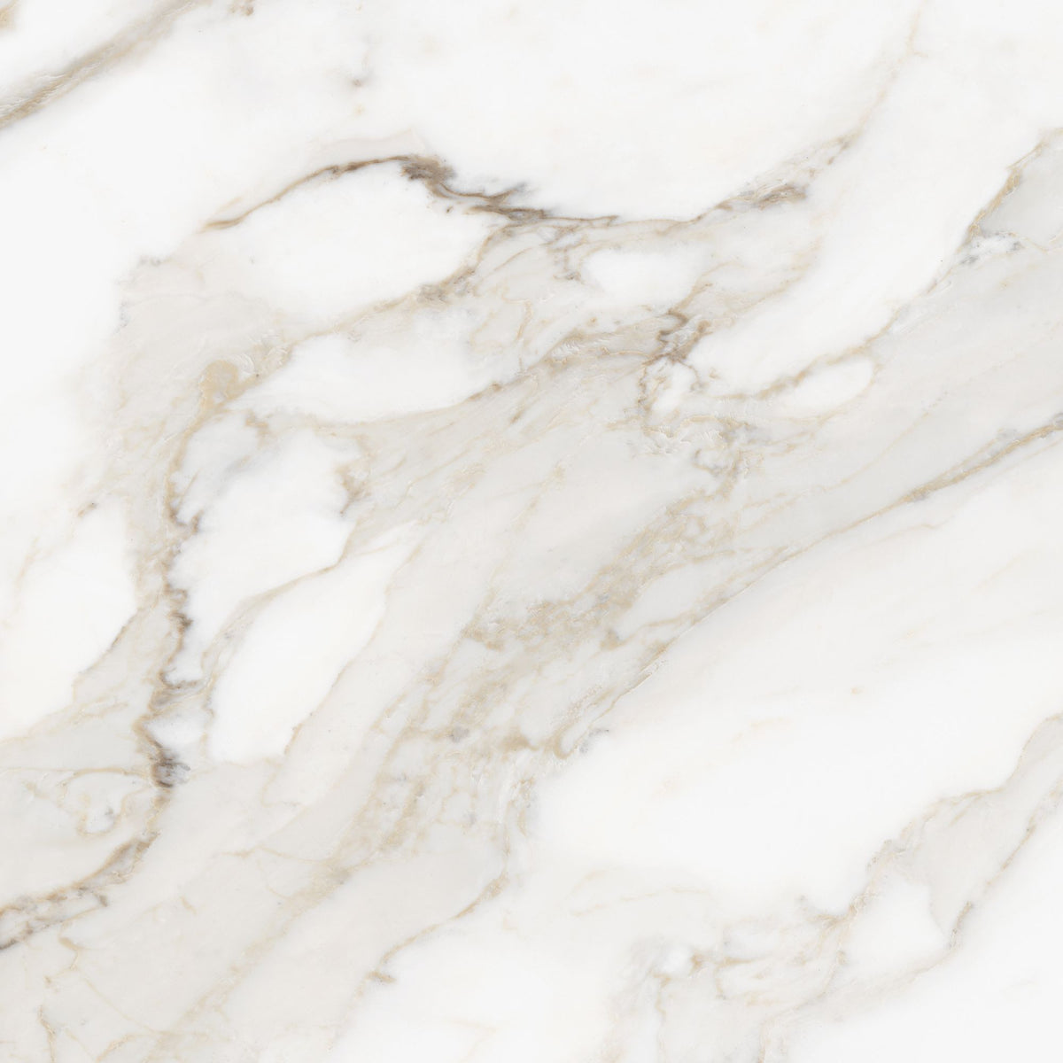 24 x 24 in Majesto Calacatta Oro Honed Rectified Colorsync Porcelain Tile