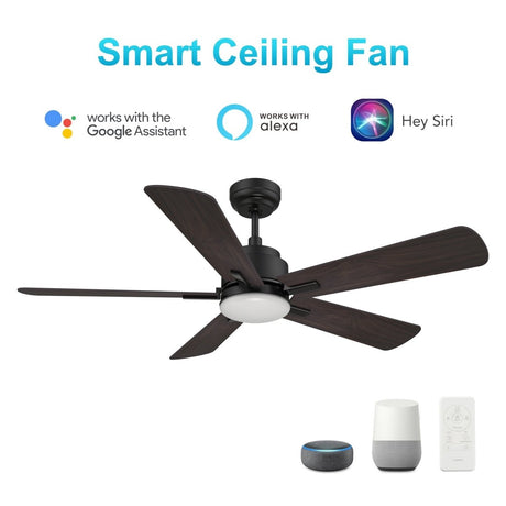 OLINDA 52 inch 5 - Blade Smart Ceiling Fan with LED Light & Remote - LEDMyPlace