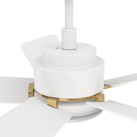 OLINDA 52 inch 5 - Blade Smart Ceiling Fan with LED Light & Remote - LEDMyPlace