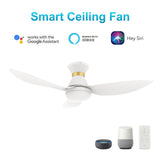 RYATT 45 inch 3 - Blade Flush Mount Smart Ceiling Fan with Remote & LED Light - LEDMyPlace