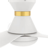 RYATT 45 inch 3 - Blade Flush Mount Smart Ceiling Fan with Remote & LED Light - LEDMyPlace