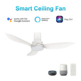 RYNA 36 inch 3 - Blade Flush Mount Smart Ceiling Fan with LED Light & Remote - LEDMyPlace
