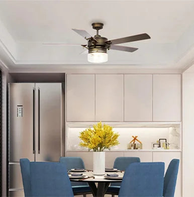 SMART CEILING FANS
