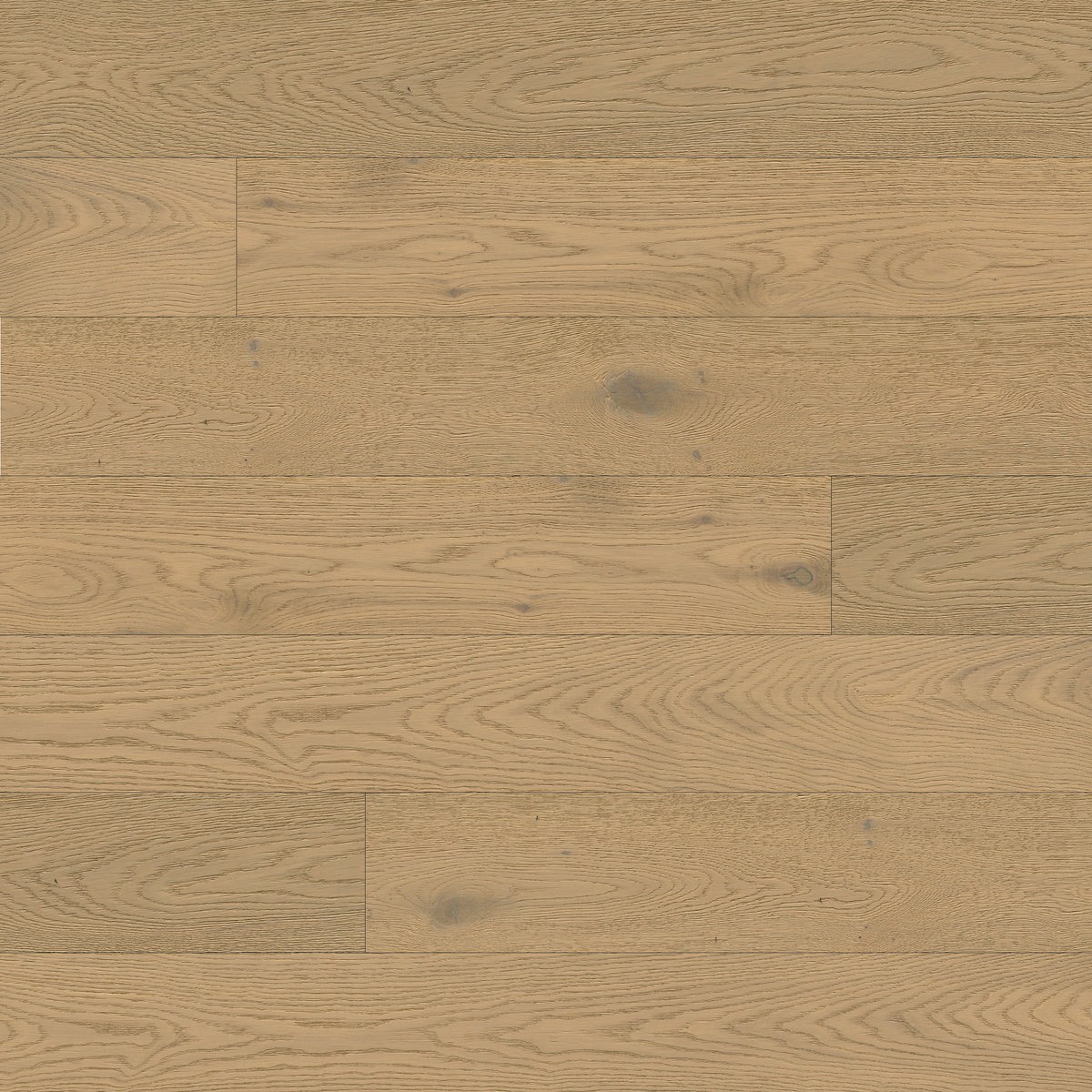 Ladson Talren 7-1/2 x 75 in 1/2 in White Oak Engineered Hardwood