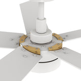 TARRASA 52 inch 5 - Blade Smart Ceiling Fan with LED Light & Remote - LEDMyPlace