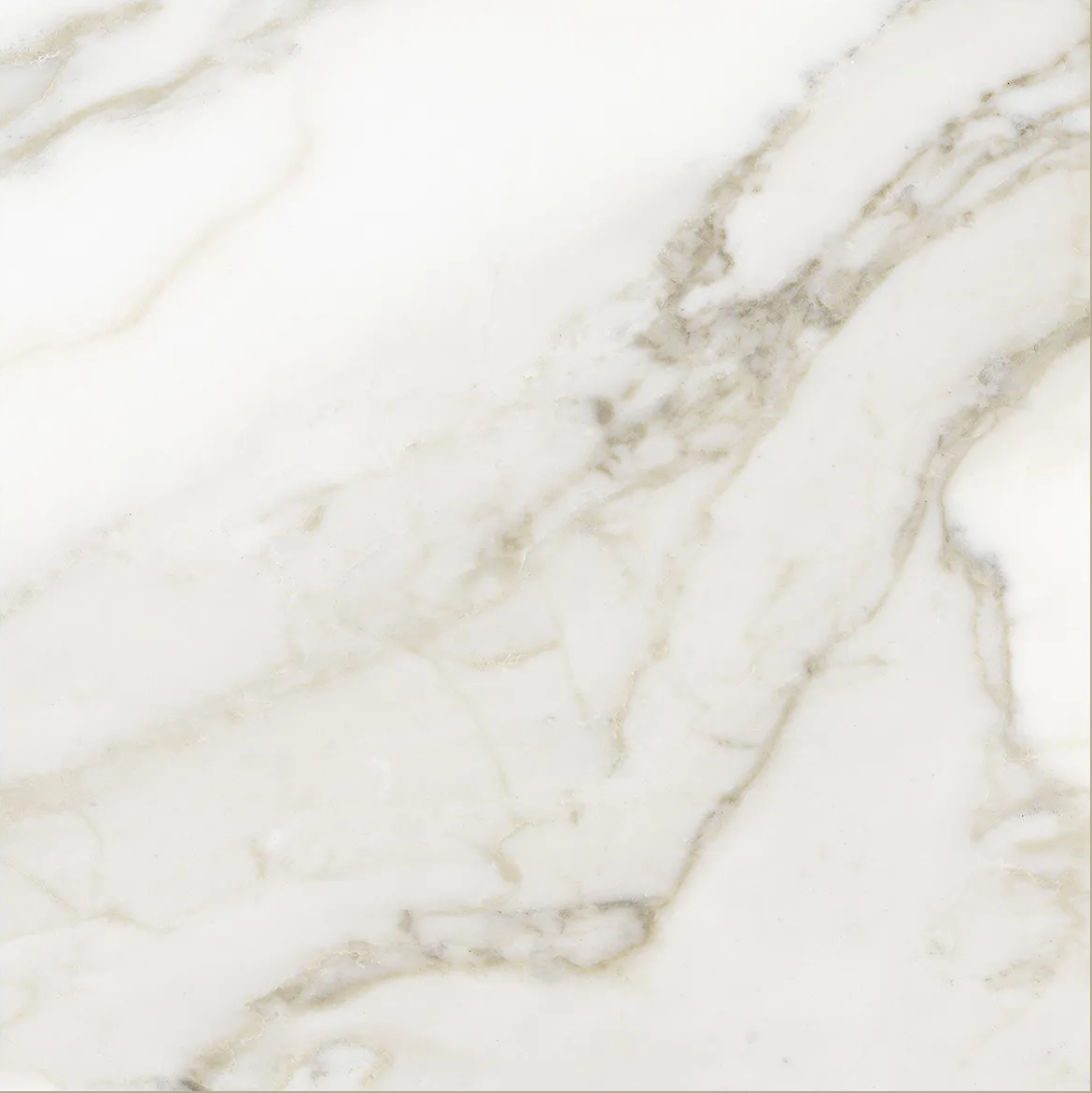 13 x 13 in Lumino Calacatta Matte Pressed Glazed Porcelain Tile