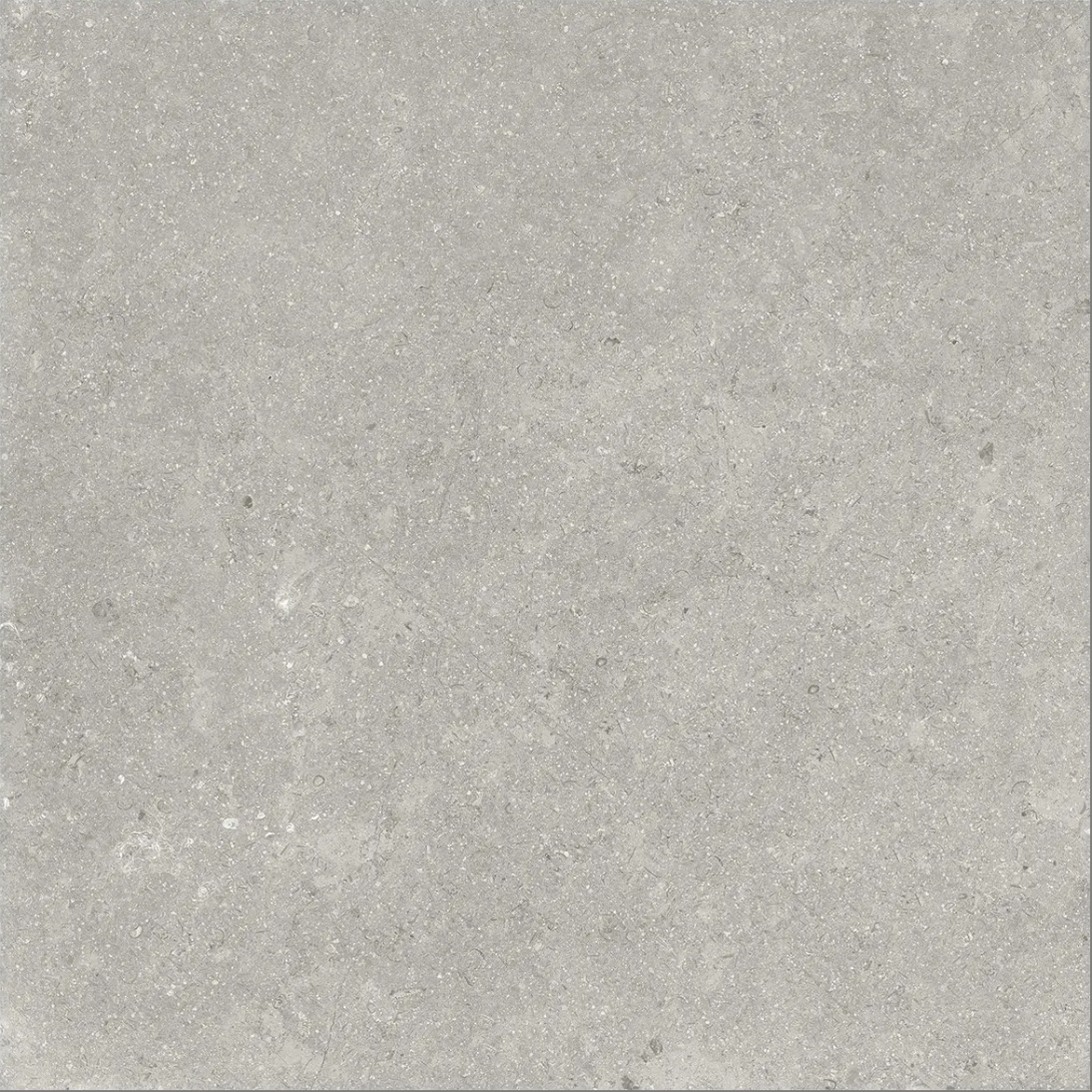 20 x 20 in Coliseo Graphite Matte Pressed Glazed Porcelain Tile