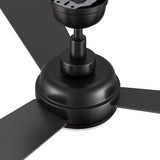 TRYTON 52 inch 3 - Blade Ceiling Fan with LED Light & Remote - LEDMyPlace