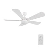 ZELDA 52 inch 5 - Blade Ceiling Fan with LED Light & Remote - LEDMyPlace