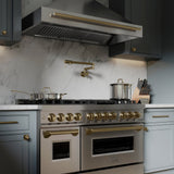 ZLINE Autograph Edition 48" Stainless Steel Range Hood with Stainless Steel Shell and Champagne Bronze Handle (8654STZ-48-CB)