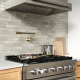 ZLINE 36 in. 5.2 cu. ft. Paramount Dual Fuel Range with 6 Burner DuoPro™ Cooktop and Electric Convection Oven in Stainless Steel (PSDR36)