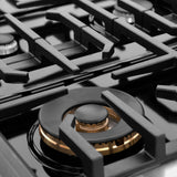 ZLINE 48 in. Paramount Gas Rangetop with 8 Burners and Porcelain Cooktop in Satin Stainless Steel (SRTS-48)